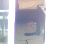 كبير منتدى الجنس العربى الثدي
