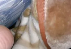 تدريب الدب الجائع سكس عربي ساخن جنس افلام في الحمار