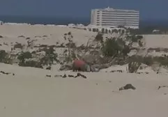 مثليات الكلية موقع الجنس العربي
