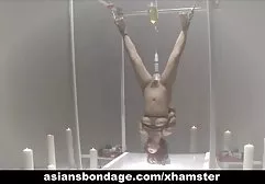 الحمار الجميل جنس مترجم عربي جديد