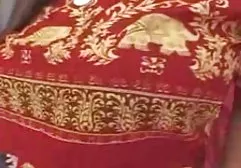 الجنس الجزء الأكبر جنس عربي واجنبي في المحتوى